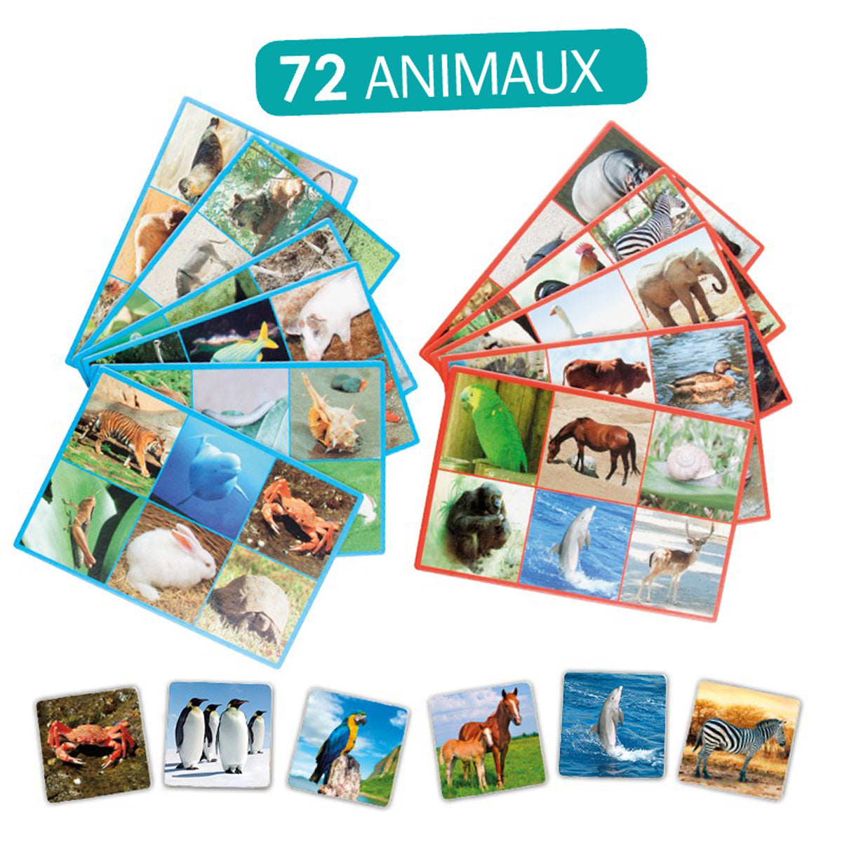 Loto + Mots : 72 animaux