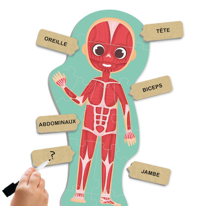 Découvre et identifie le corps humain
