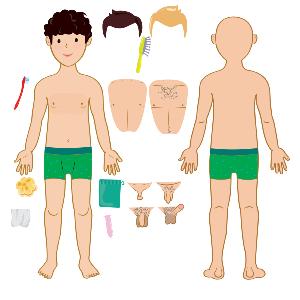 Des objets varis permettant  la fois de raliser des dmonstrations et d'encourager  la manipulation : une hanche en plastique, une culotte menstruelle, une ponge naturelle, des serviettes hyginiques, des tampons, une coupe menstruelle, des prservatifs, 6 modles d'organes gnitaux externes fminins et masculins en 3D de tailles et de formes diffrentes, un pointeur main, etc.